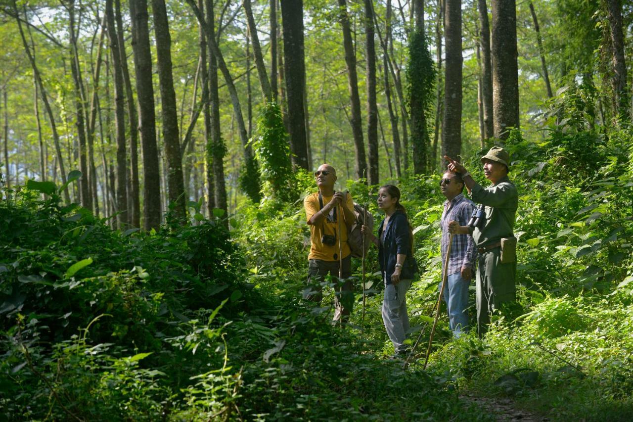 Barahi Jungle Lodge Meghauli Zewnętrze zdjęcie
