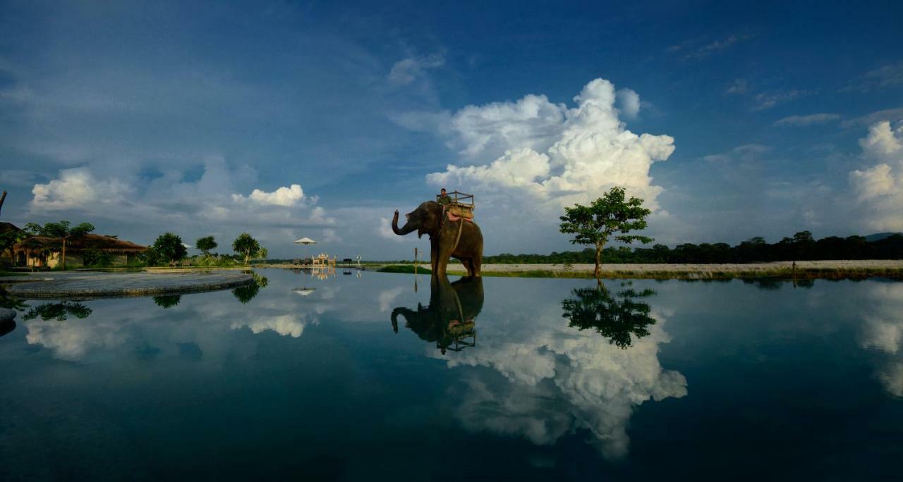 Barahi Jungle Lodge Meghauli Zewnętrze zdjęcie
