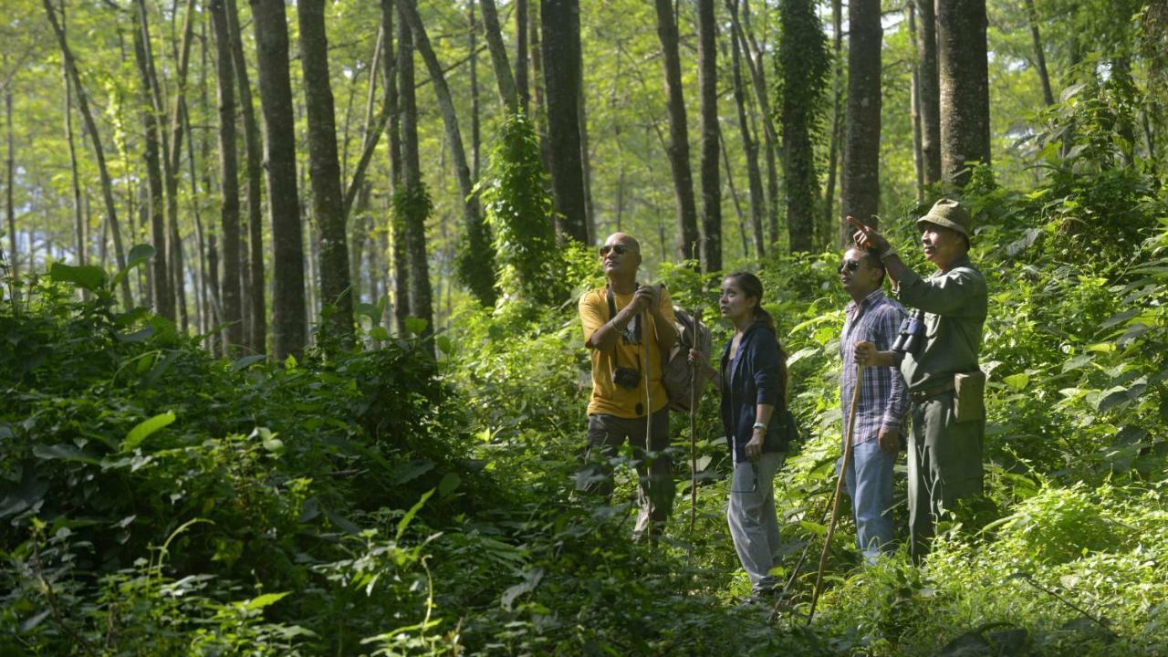 Barahi Jungle Lodge Meghauli Zewnętrze zdjęcie